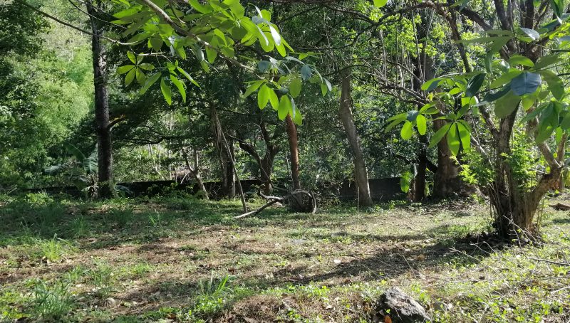 Lot for sale Parkridge Estate Antipolo City